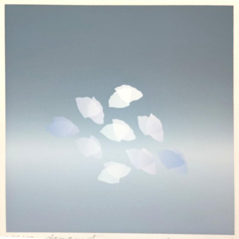 ☆井上公三☆「桜の花びら」シルクスクリーン　e.d 28/150