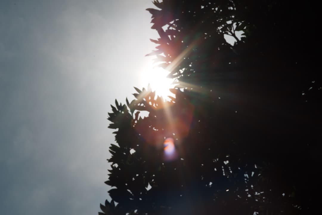 【極美品】ミノルタ MC-ROKKOR PF 85mm F1.7 後 663