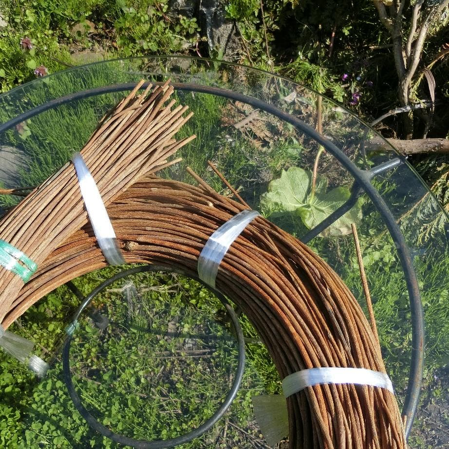 青森岩木山採取　あけび蔓　150cm～ 1.5kg