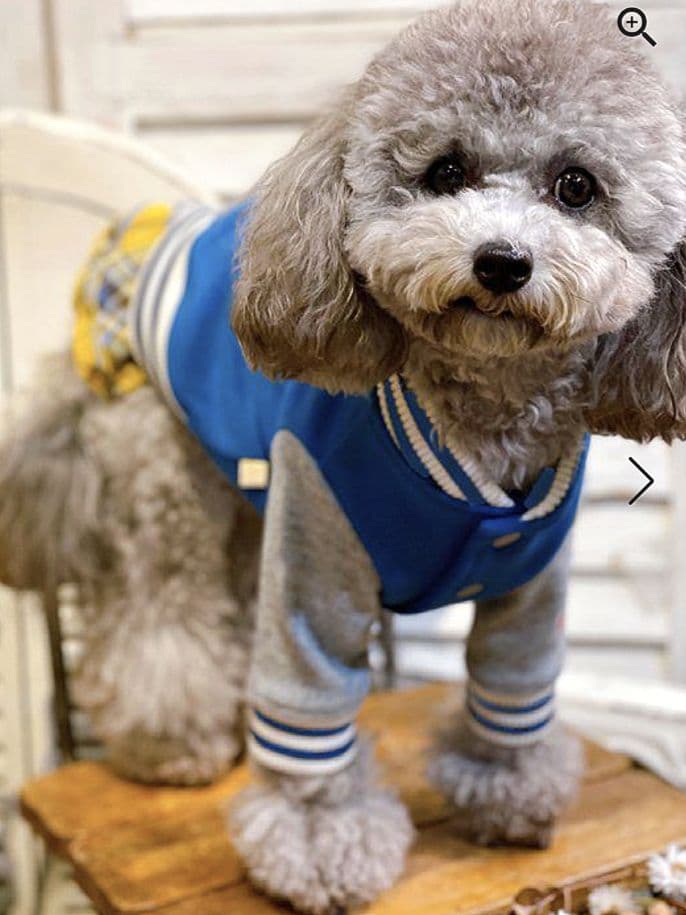 HAPPY☆スタジャン　新品　asknowasdewan アズノゥアズデワン