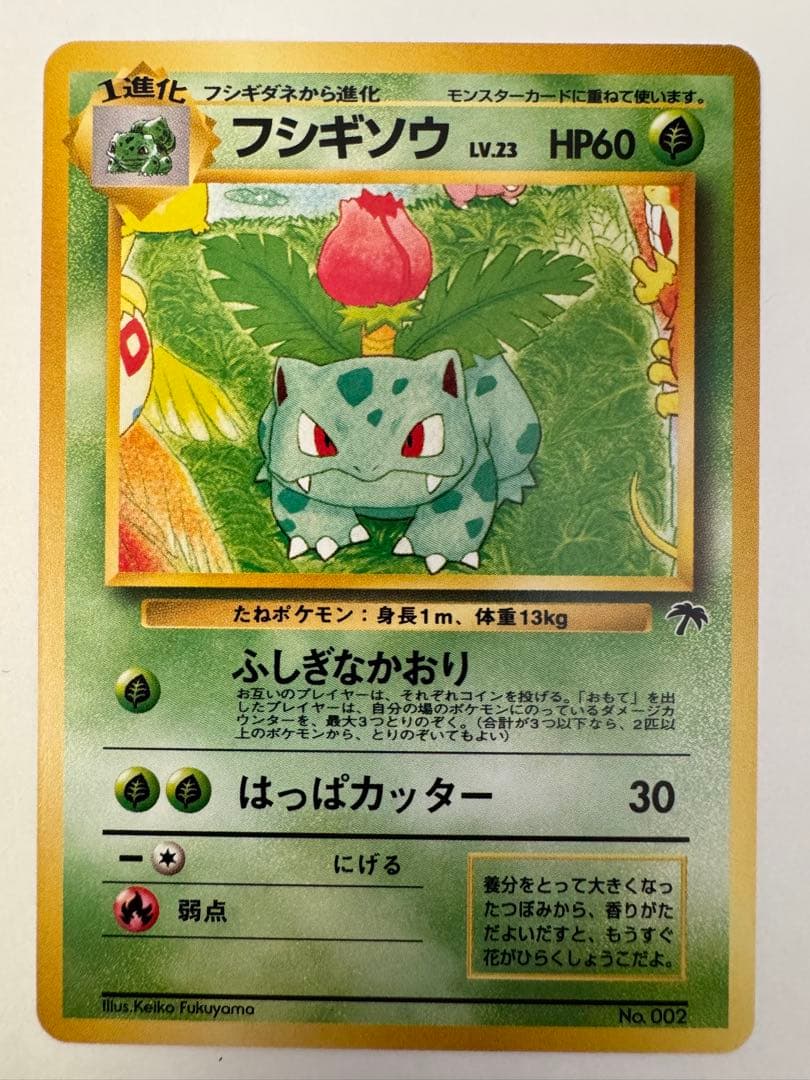 ポケモンカード　映画公開記念パック　サザンアイランド　旧裏　9枚セット　希少