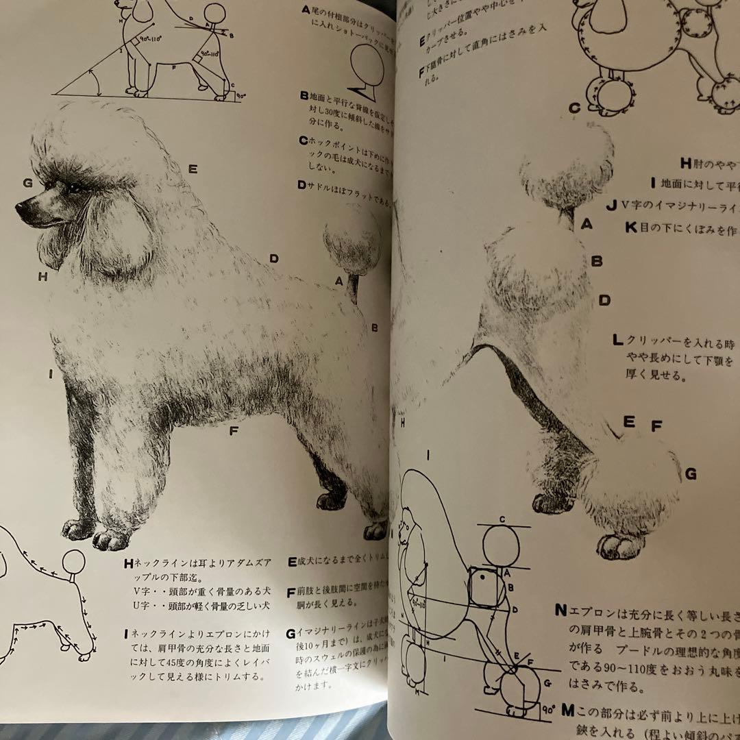 トリミングシザーセット30万前後