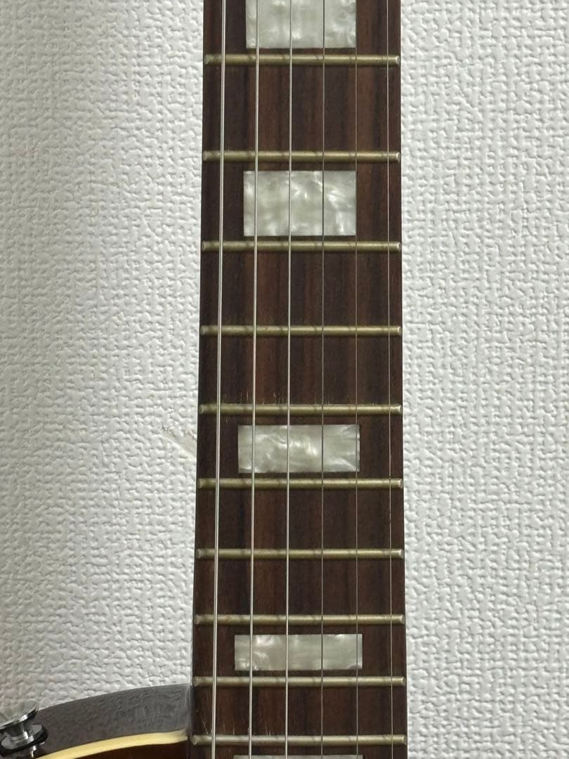 PlayTech LP-500 Premium F-Hole エレキギター