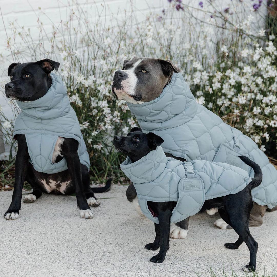 Kentucky Dogwear 未使用ベルギー ドッグコート 中綿入り