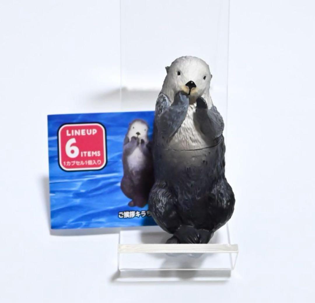 最終値下げ！鳥羽水族館　コレクションカード　70周年記念ラッコ　キラ　メイ