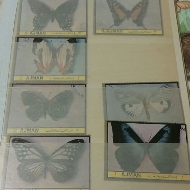 切手コレクション　蝶々