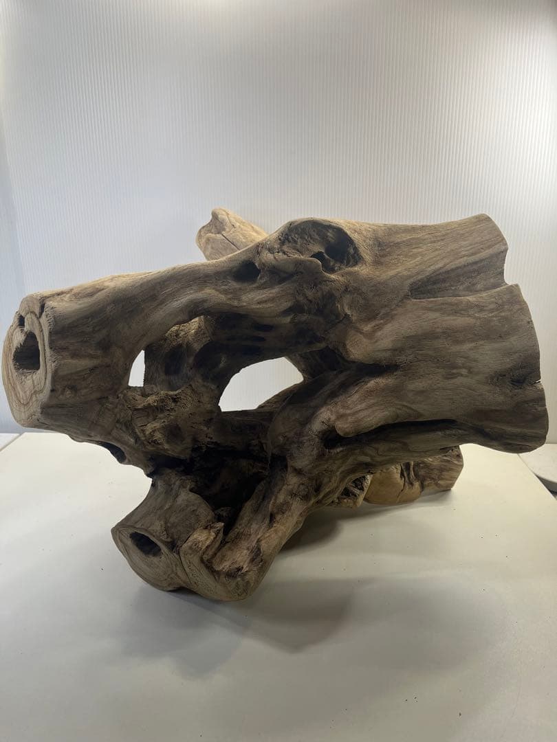 R79アク抜き済み流木 爬虫類シェルター 登り木 インテリア 生け花