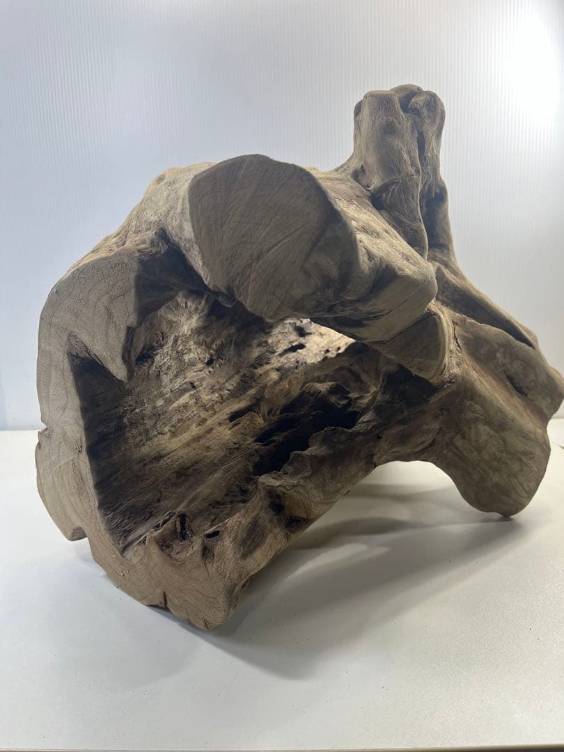 R79アク抜き済み流木 爬虫類シェルター 登り木 インテリア 生け花