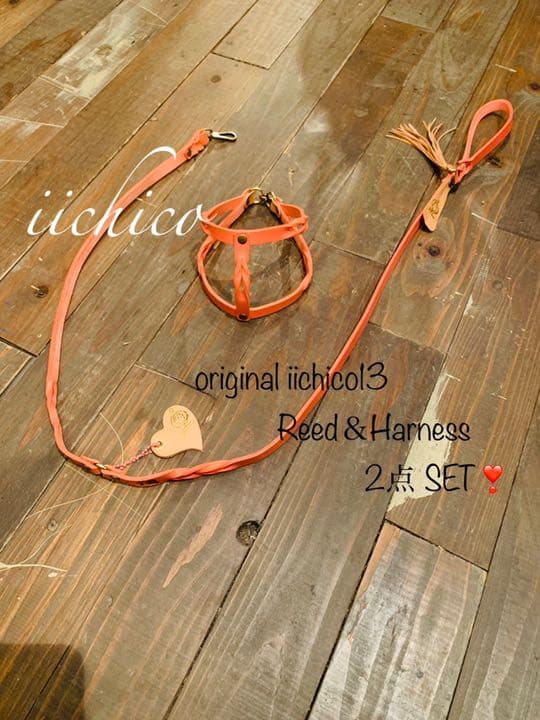 犬用　サーモンピンク【本革】リード＆ハーネス2点 SET❣️
