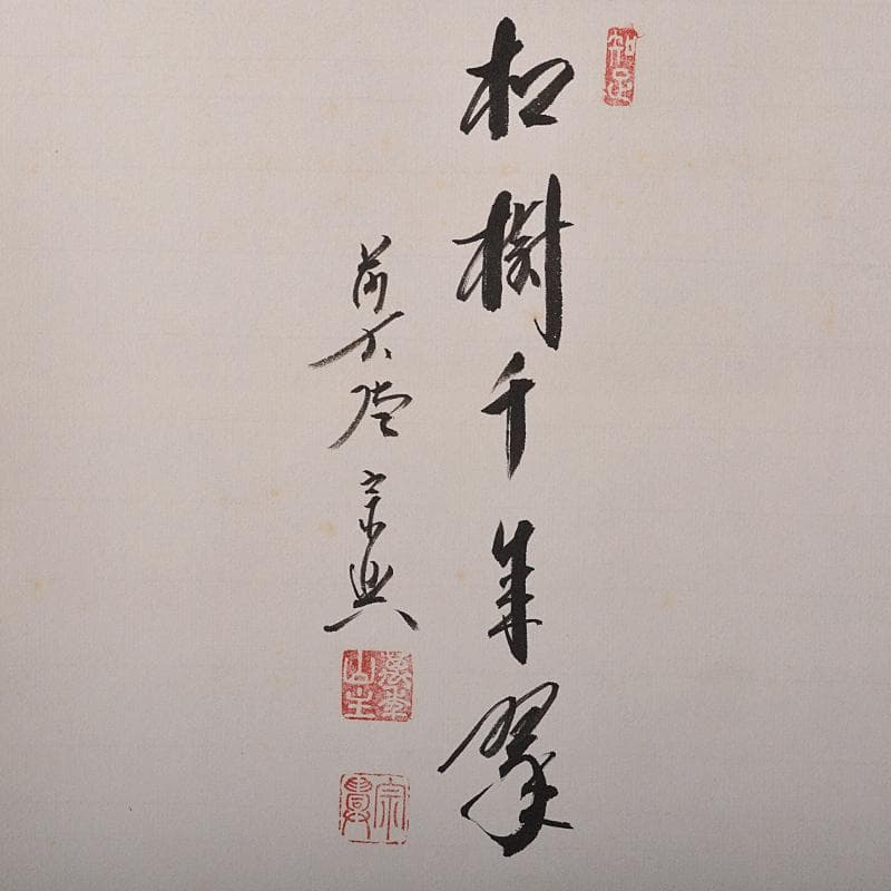 掛軸　前大徳　極楽寺主　西垣宗興　「松寿千手翠」　若松画　共箱　V　R5930B