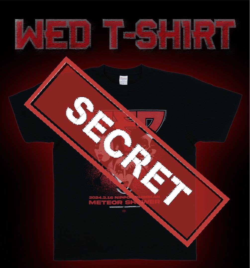 ◆限定品◆【未開封】【新品、未着用】水曜日のカンパネラ　シークレットTシャツ