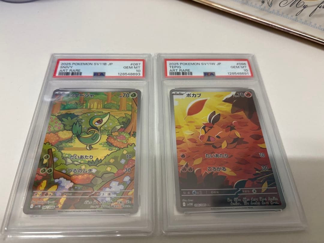 ツタージャ ポカブ AR PSA 10