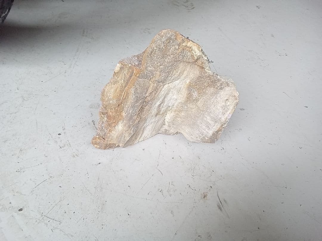 木化石　詰め合わせ