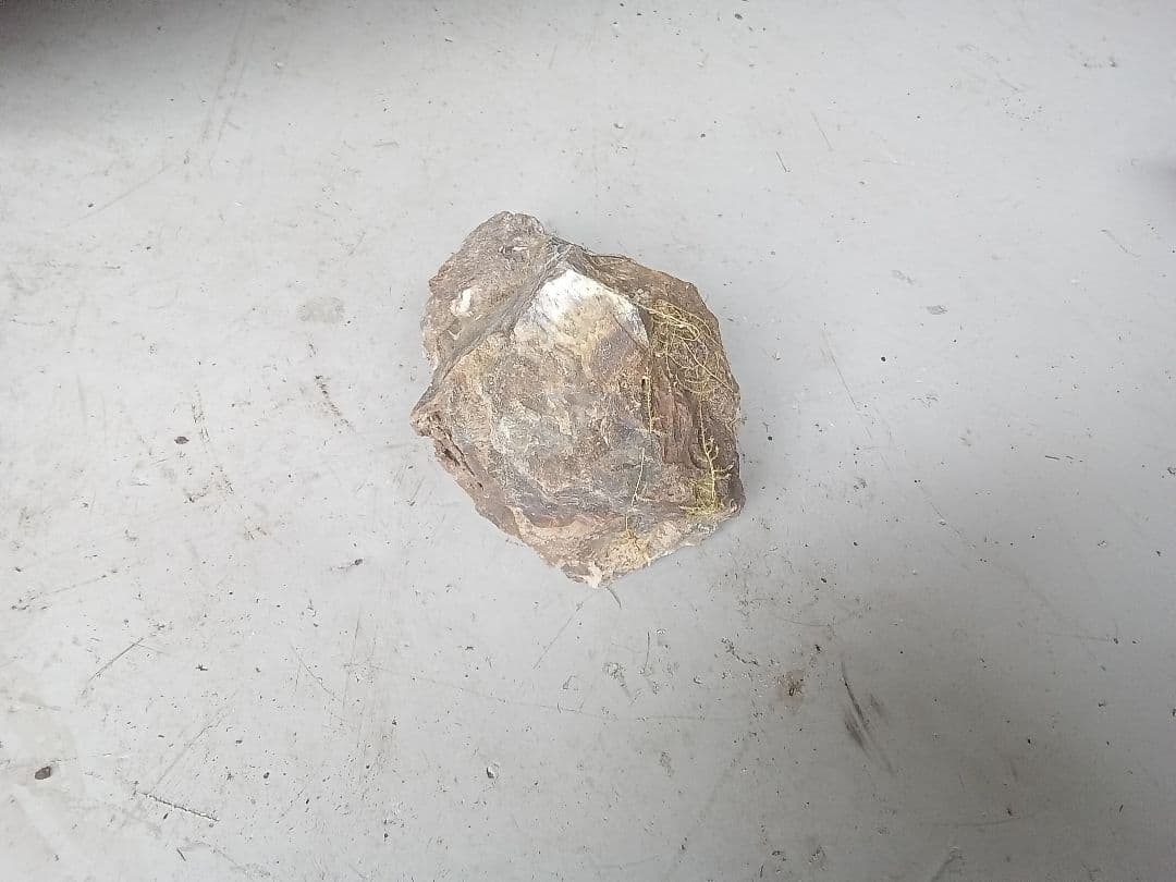 木化石　詰め合わせ