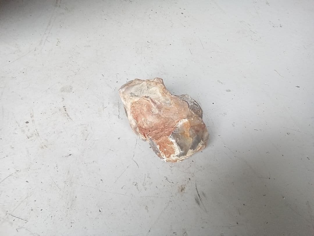 木化石　詰め合わせ