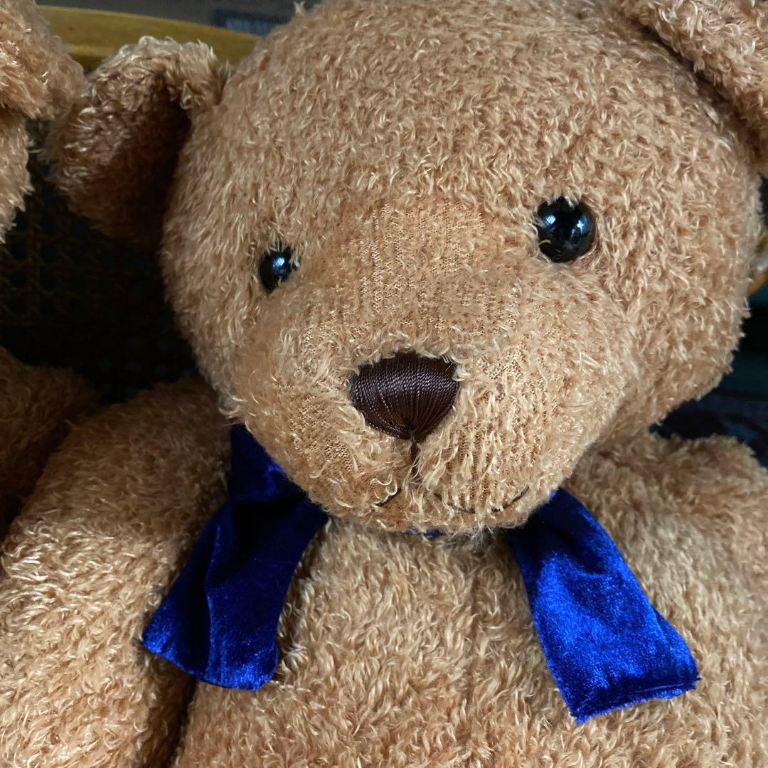 くまのぬいぐるみ　大型　ベア