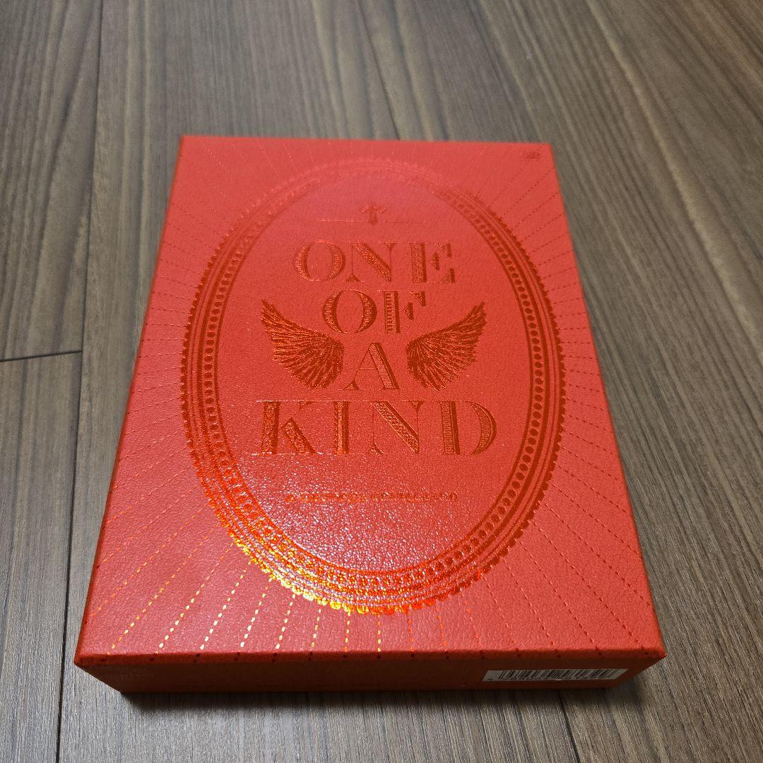 G-DRAGON(from BIGBANG)/G-DRAGON 2017 WO…