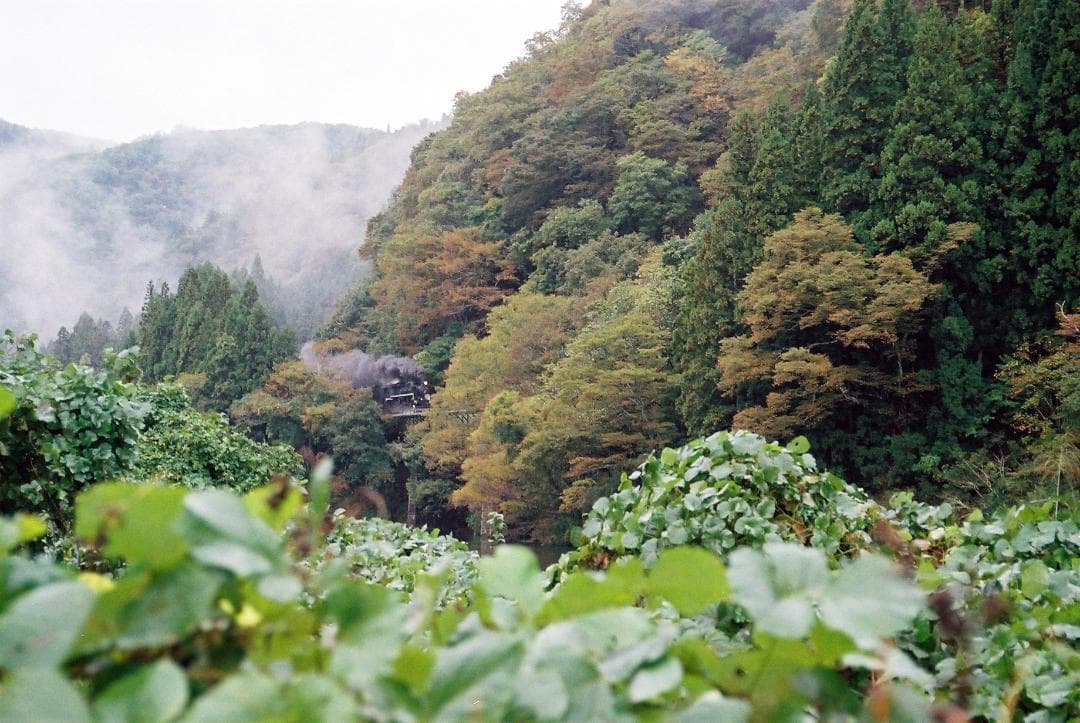 u*e様 【実写確認整備品】ニコンFE BK／Ai-Zニッコール43-86mmf