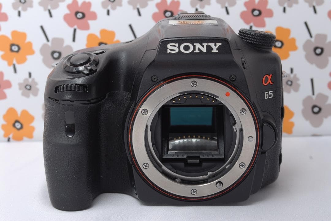 ❤SONY α65❤トリプルレンズ❤超望遠❤超高画質❤1秒10コマの高速連射❤
