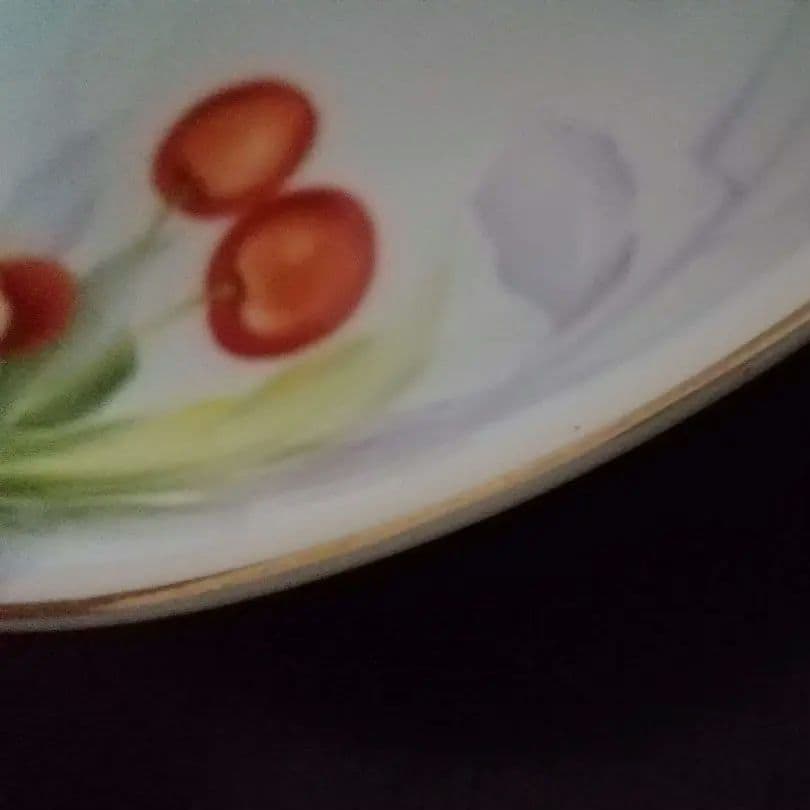 貴重なさくらんぼ絵柄鉢　オールド東洋陶器　東洋陶器　TOYOTOKI