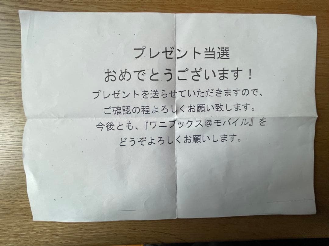 山本彩　直筆サイン　写真　チェキ　当選通知書付き　ワニブックス NMB48