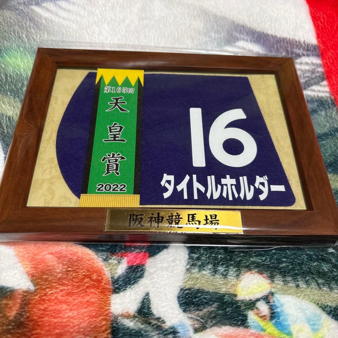 タイトルホルダー　天皇賞春　額入りミニゼッケン