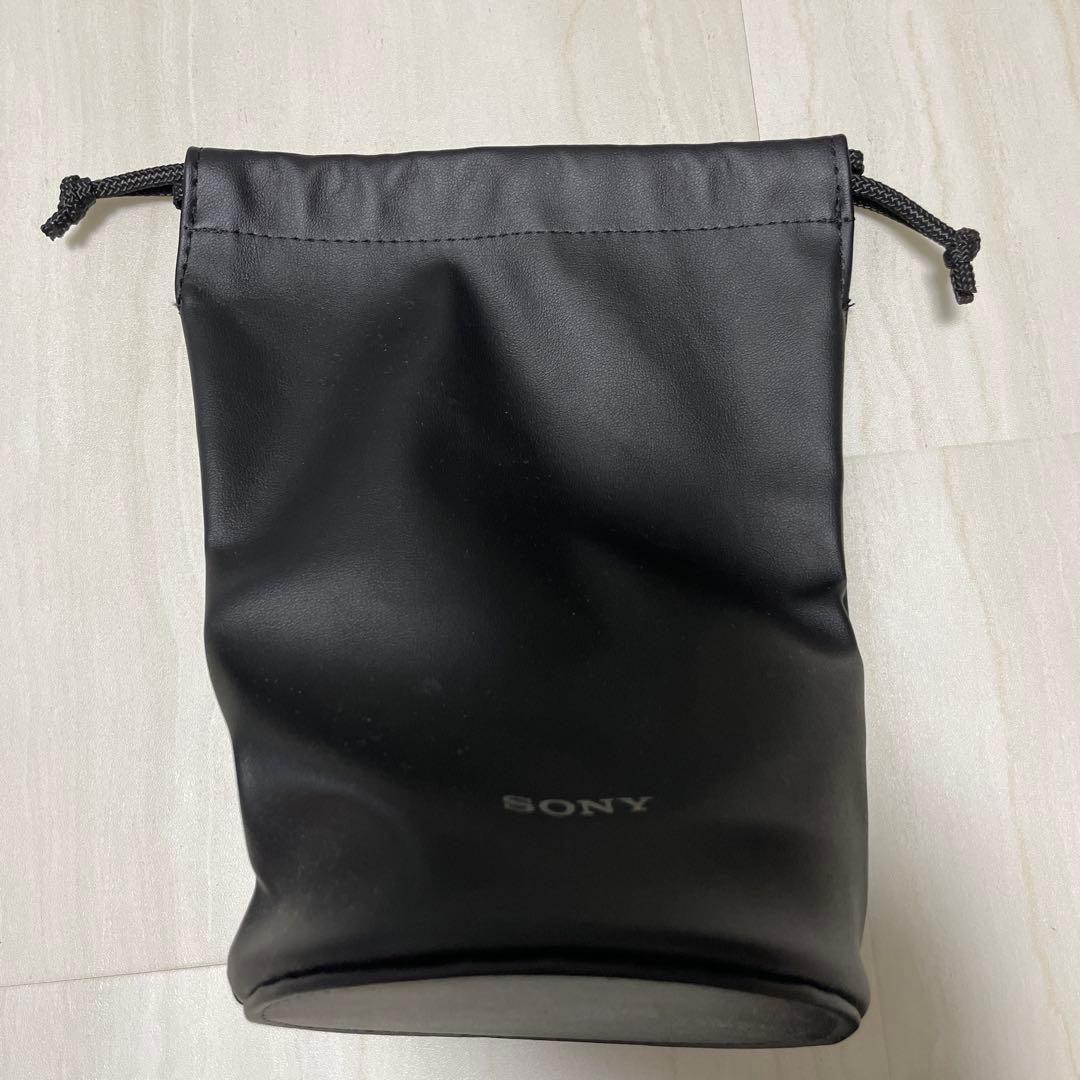 Sony FE 24-105mm F4 G OSS ZEISSプロテクター付き