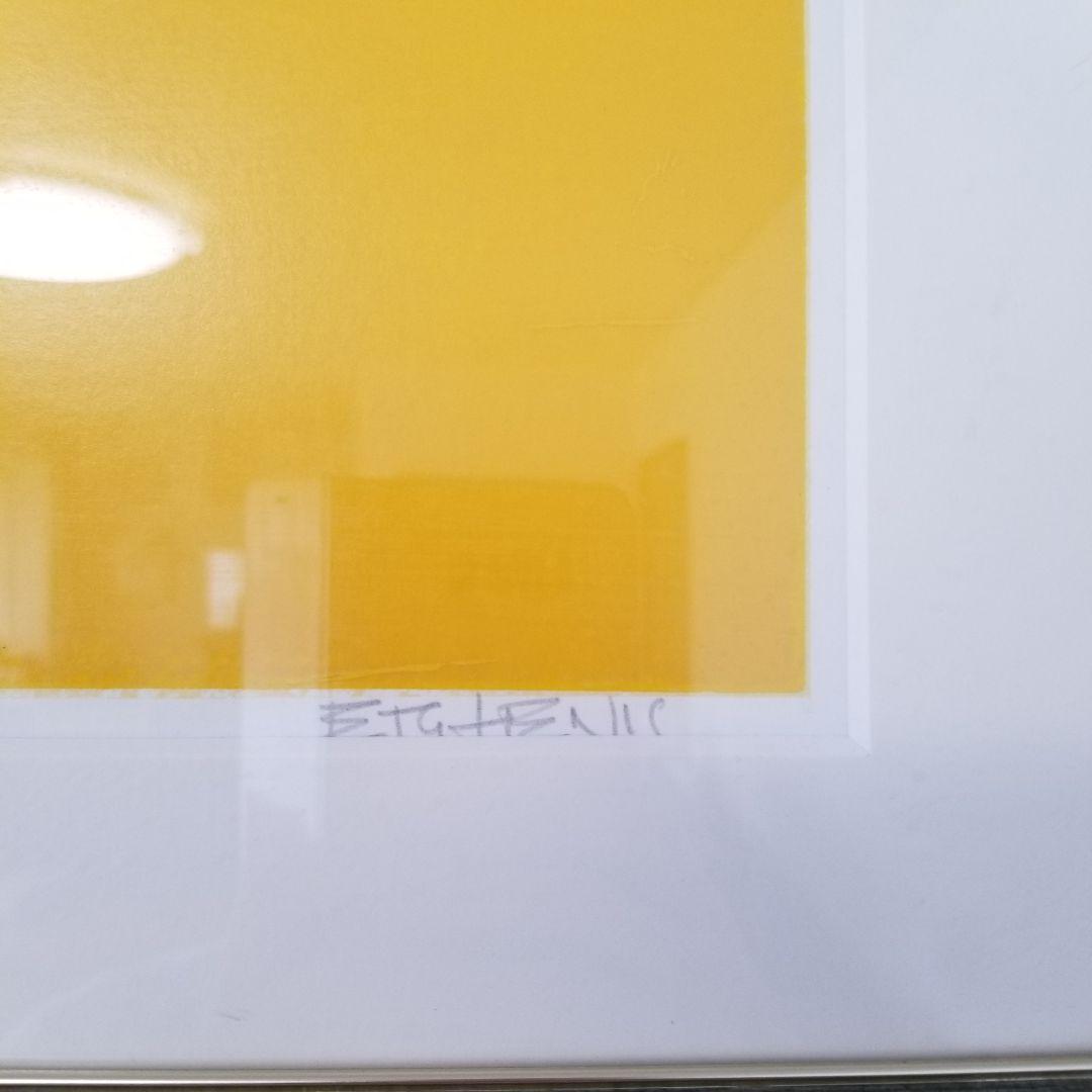 美品 Pascal Etchenic パスカル・エチュニック シルクスクリーン