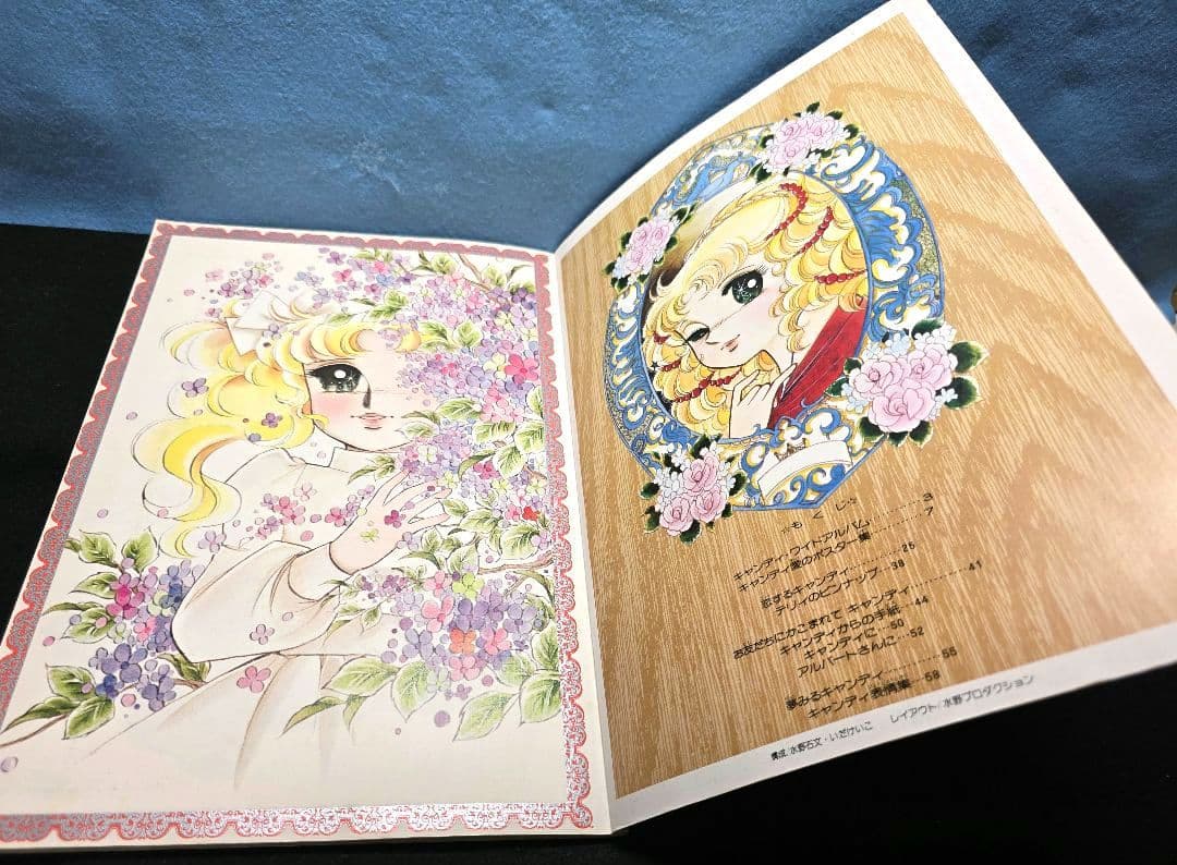 激レア　キャンディ・キャンディ イラスト集 2冊セット