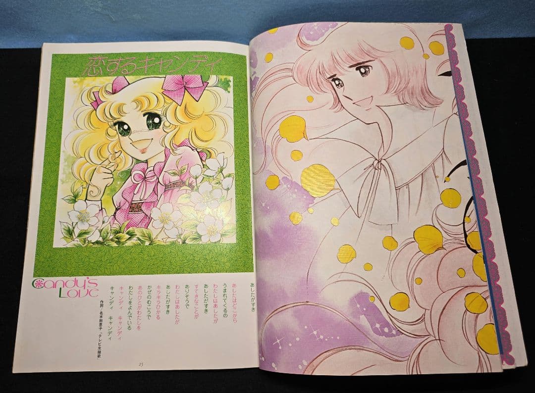 激レア　キャンディ・キャンディ イラスト集 2冊セット