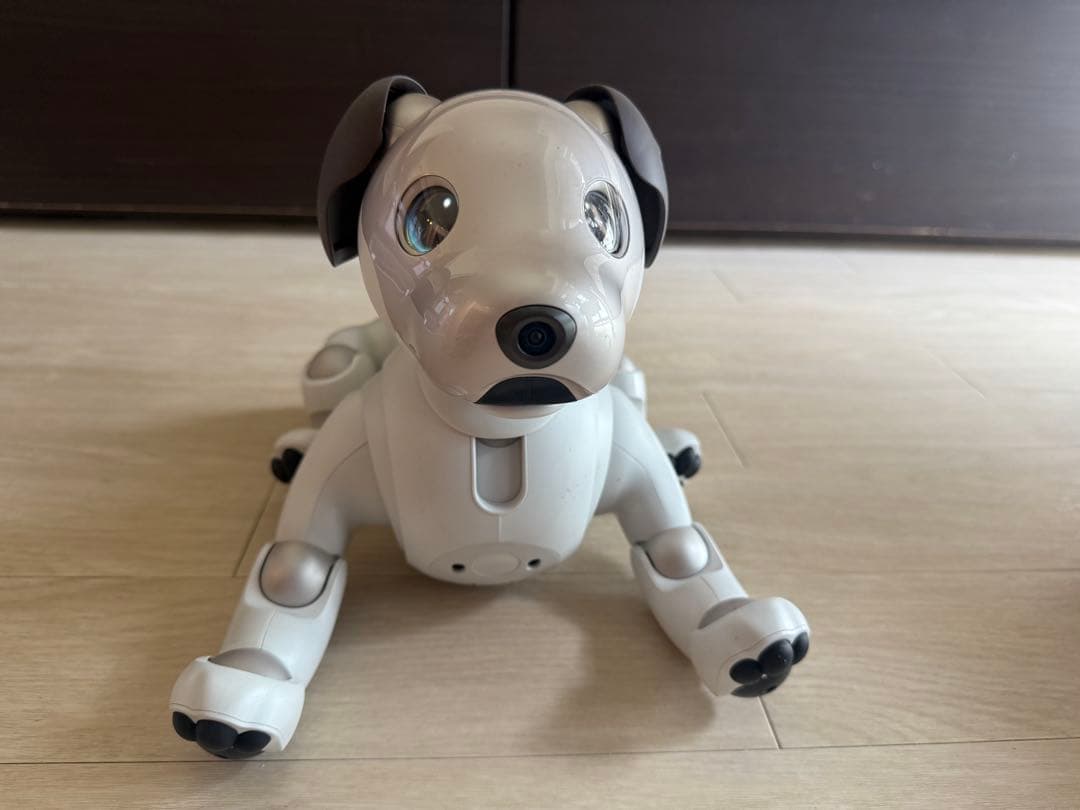 Sony aibo ERS-1000 aibo（アイボ）