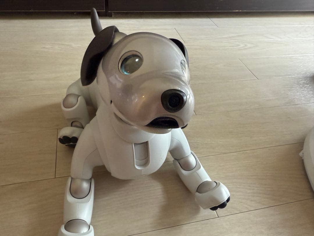 Sony aibo ERS-1000 aibo（アイボ）