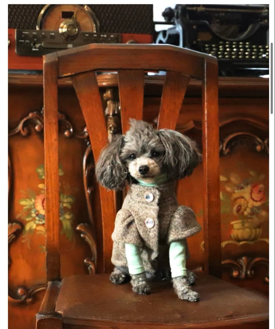 アトリエgg プレミアム オードリーコート(アンゴラ)