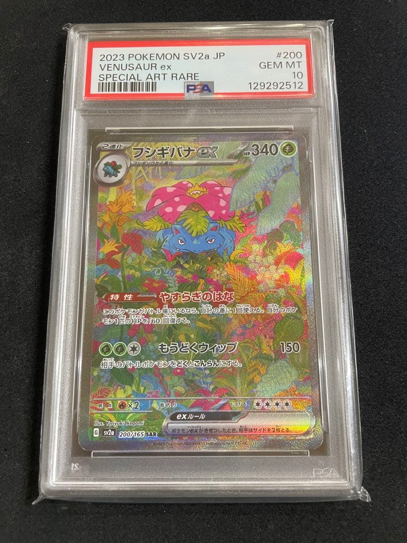 151 フシギバナ　リザードン　カメックス　PSA10