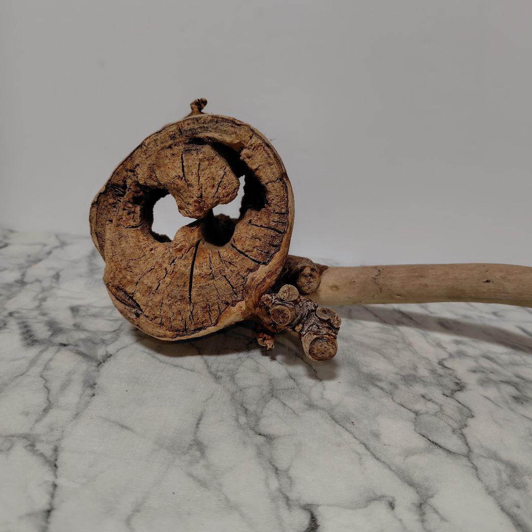 アク抜き済み流木【814】セール