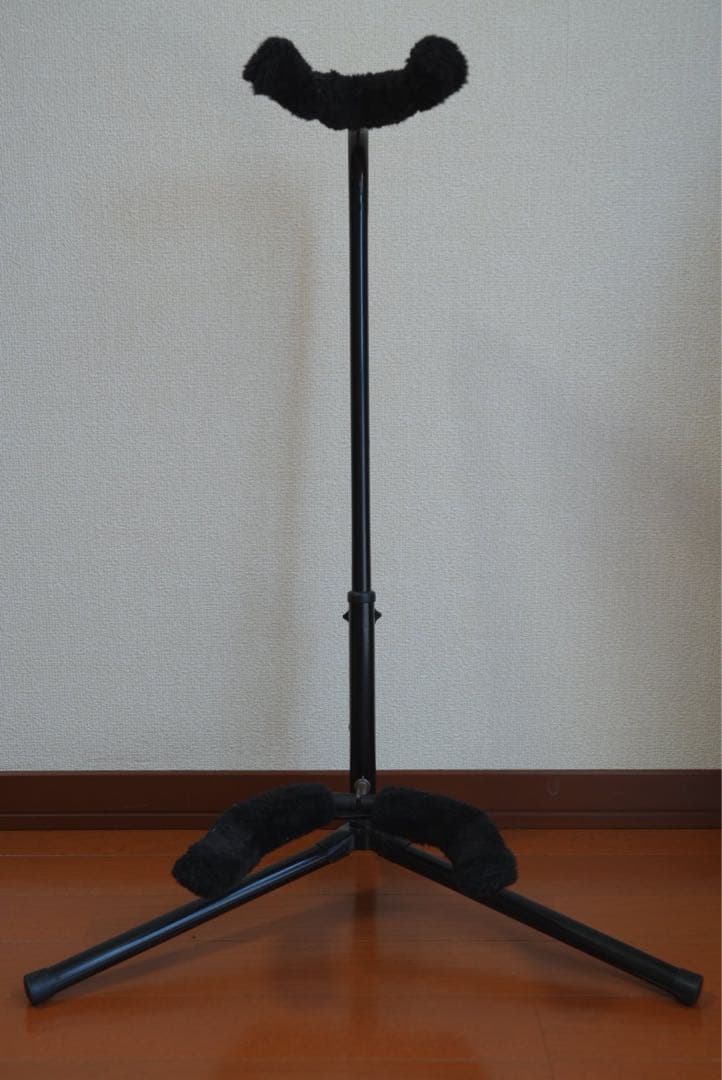 ギター テイラー Taylor 214e ケース+おまけ付