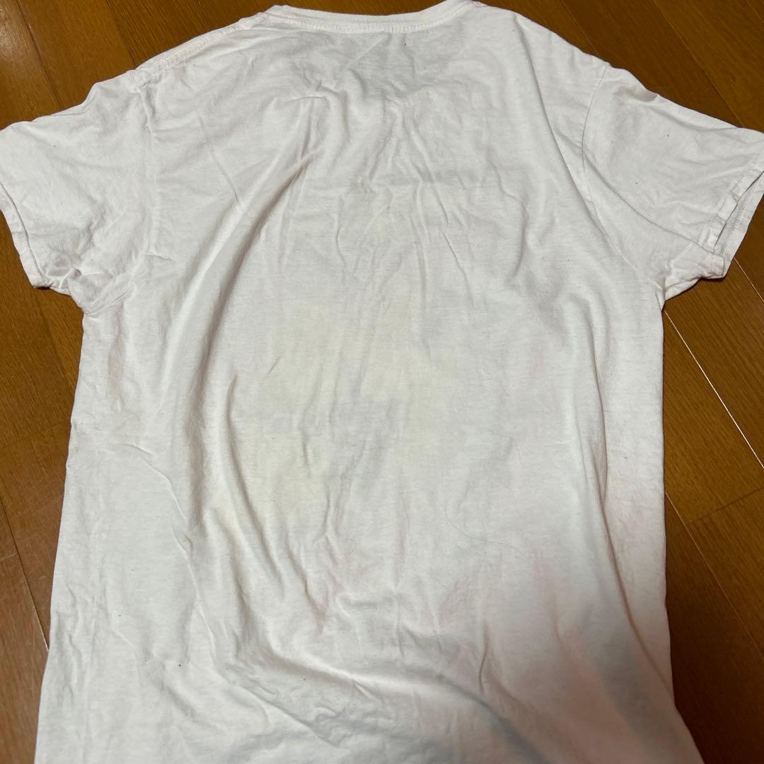 FRUIT OF THE LOOMTシャツ M MEGADETH 平成アメカジ