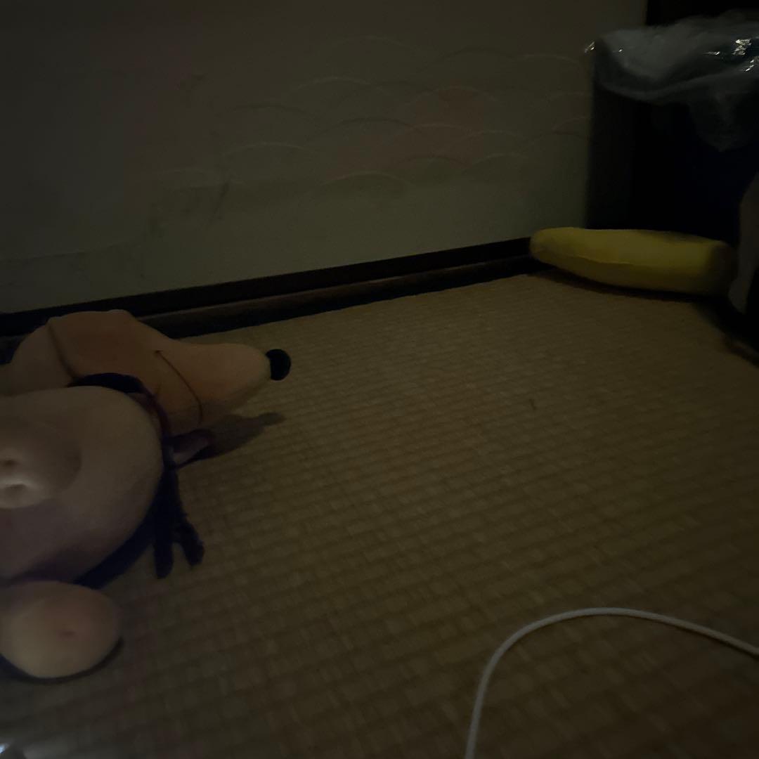 つかいふるしのいぬ