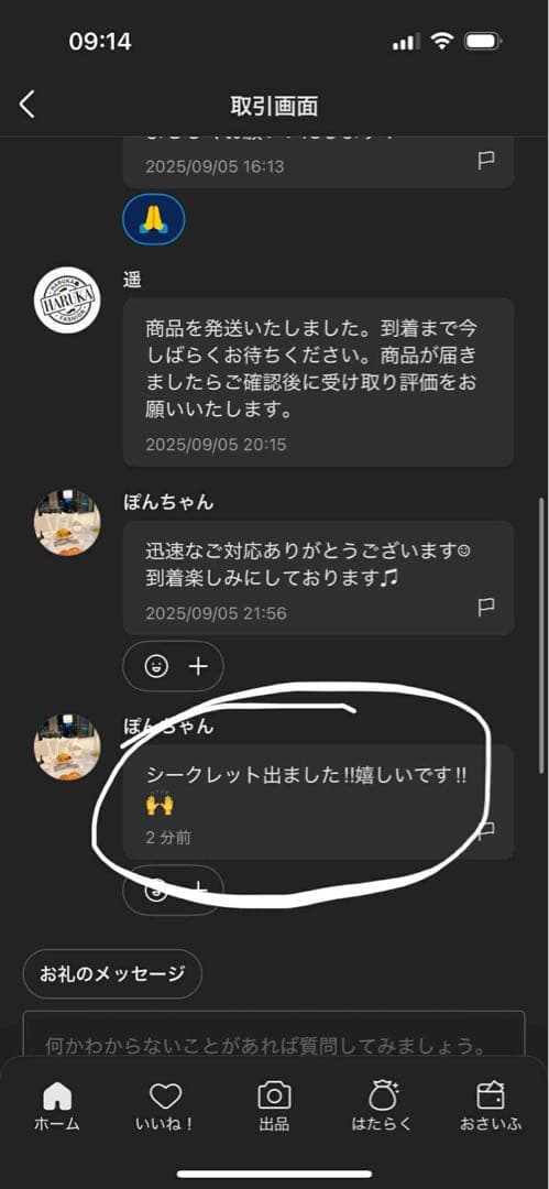 【正規品・未開封】Labubu Big into Energy 5箱