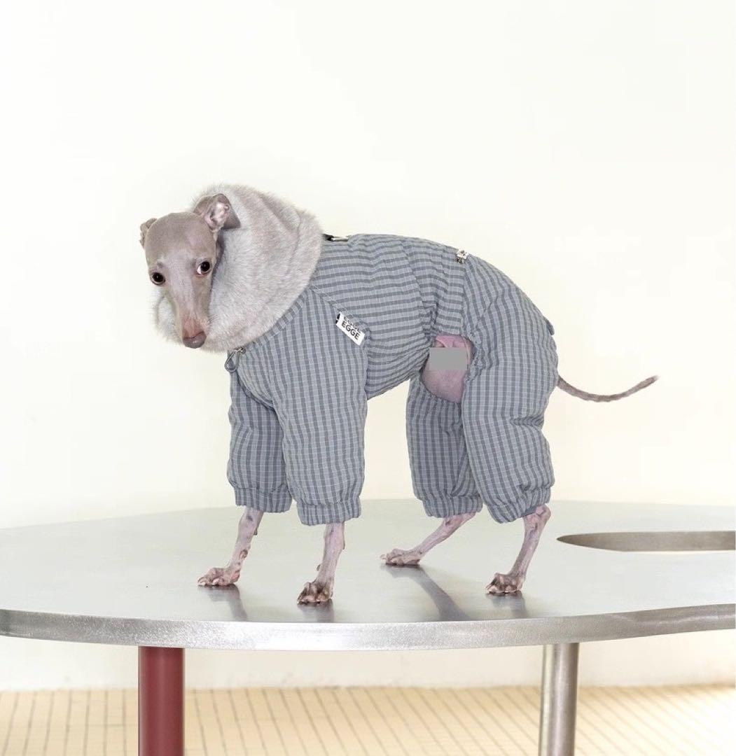 イタリアン・グレーハウンド用 ダウンジャケット −20℃対応・防寒