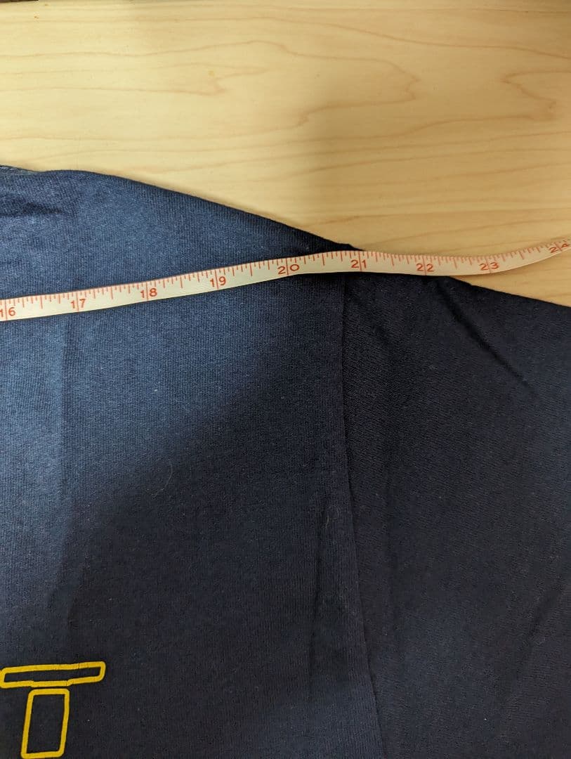 未着用 Limp Bizkit 00s ビンテージ バンド Tシャツ ラージ