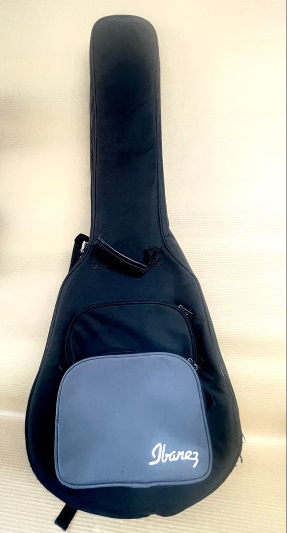 Ibanez トレモロ付きフルアコ　AFS75T-TRD-12-05