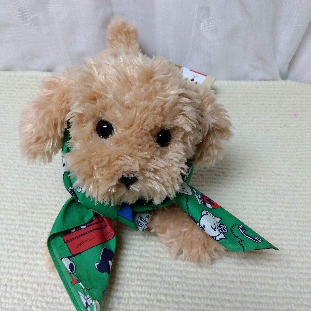 ふわふわモコモコ·͜·ᰔᩚひざわんこ トイプードル