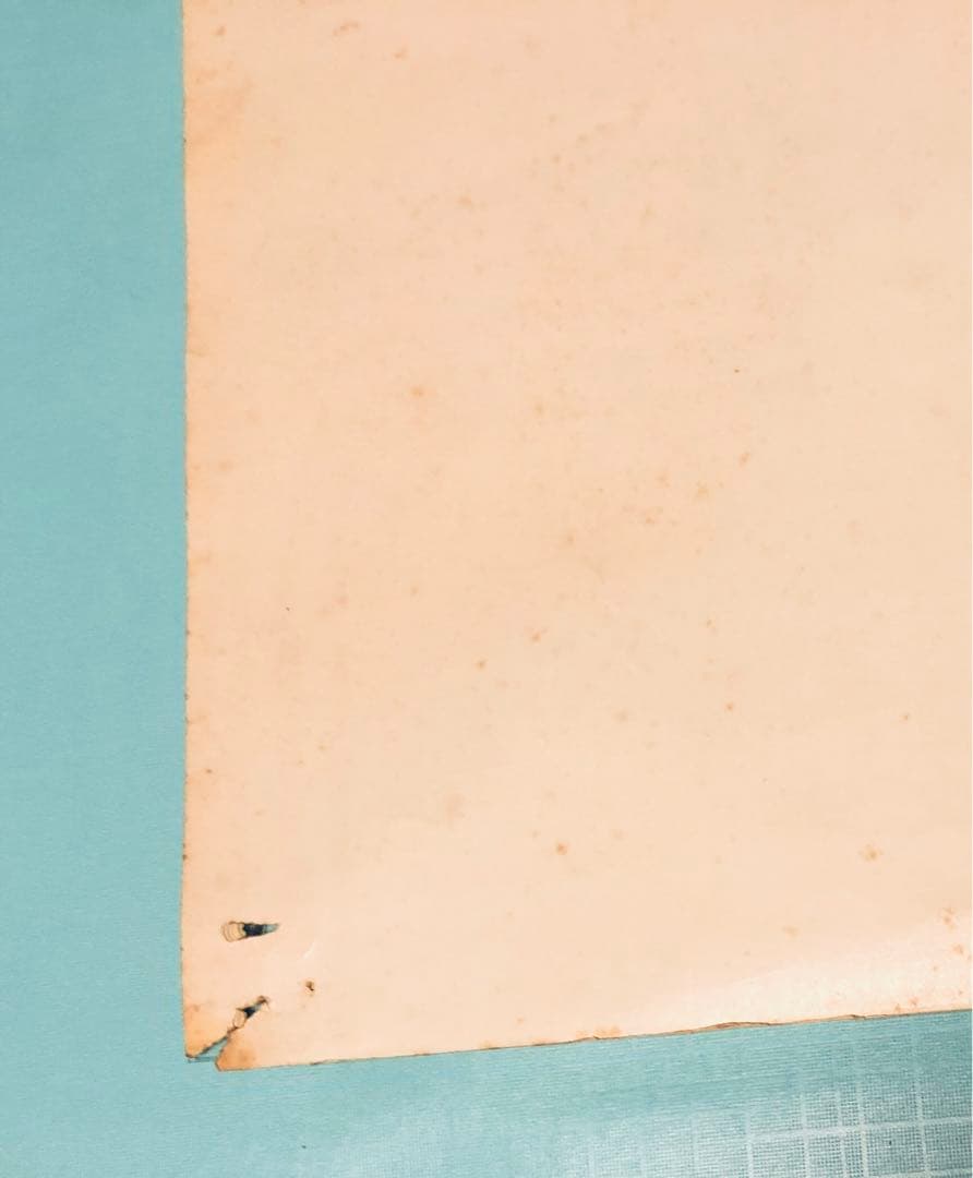 SCORPIONS 1978年初来日公演 645㎜×515㎜サイズ