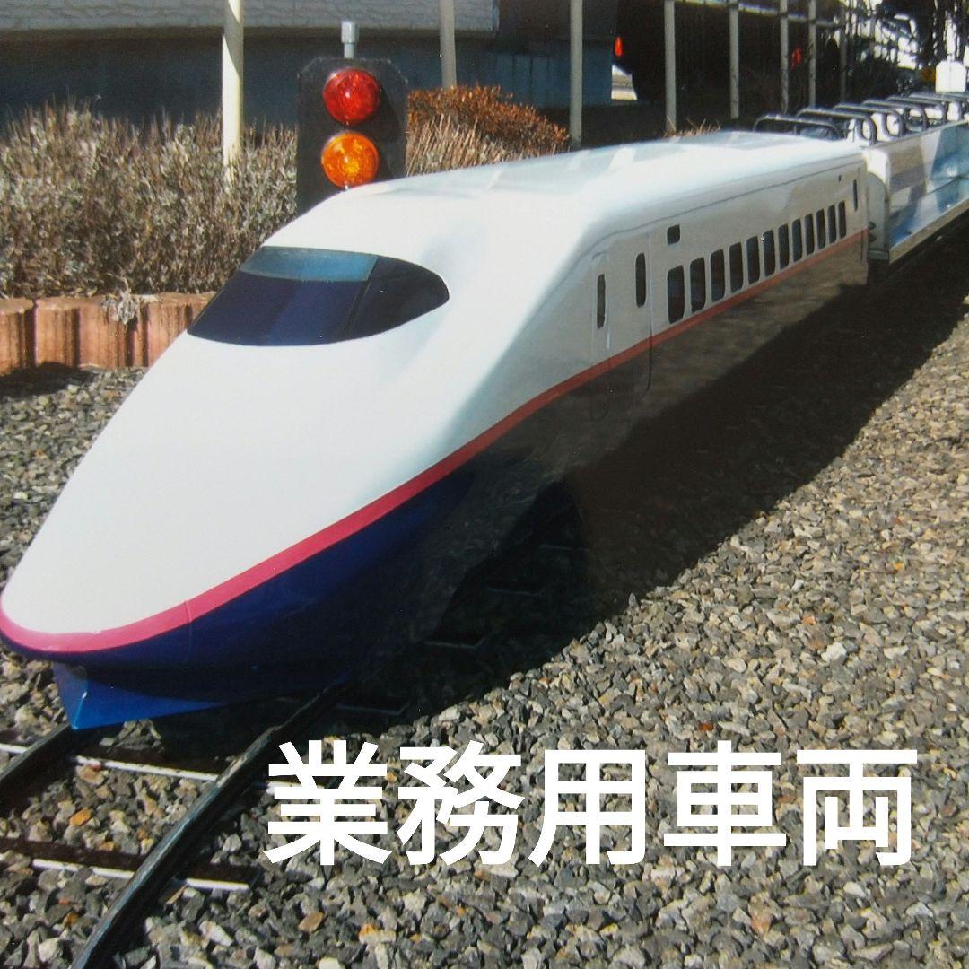 ミニ庭園鉄道（乗用５インチ）オリジナル列車二両（製造注文限定）