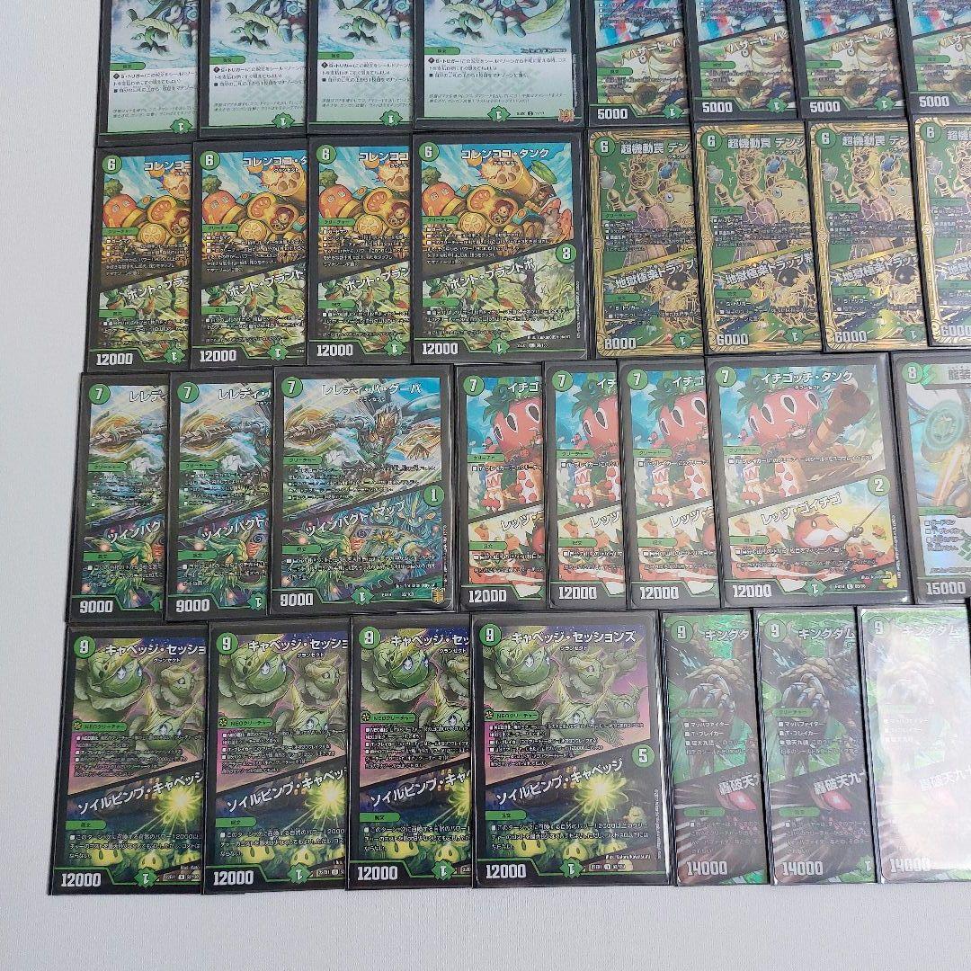 グランセクト　デッキ　デュエマ キャベツ　ネイチャー　デッキ2個セット