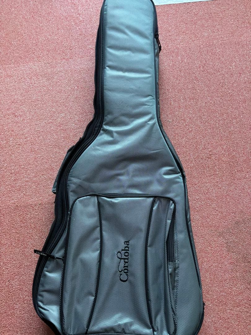 SELDER ストラトキャスタータイプ 赤 フェンダー