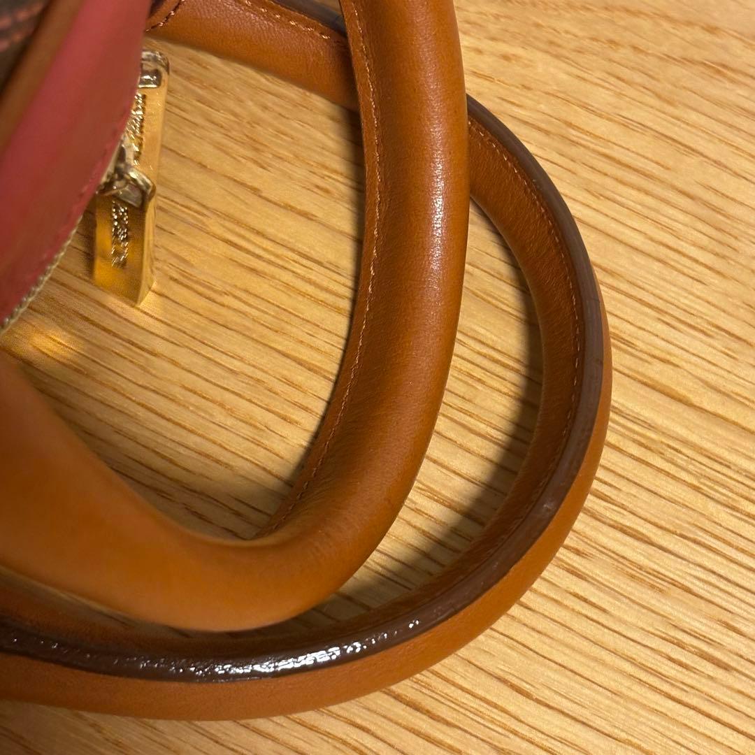 レザレクション　カートバック　Hのペイント入り