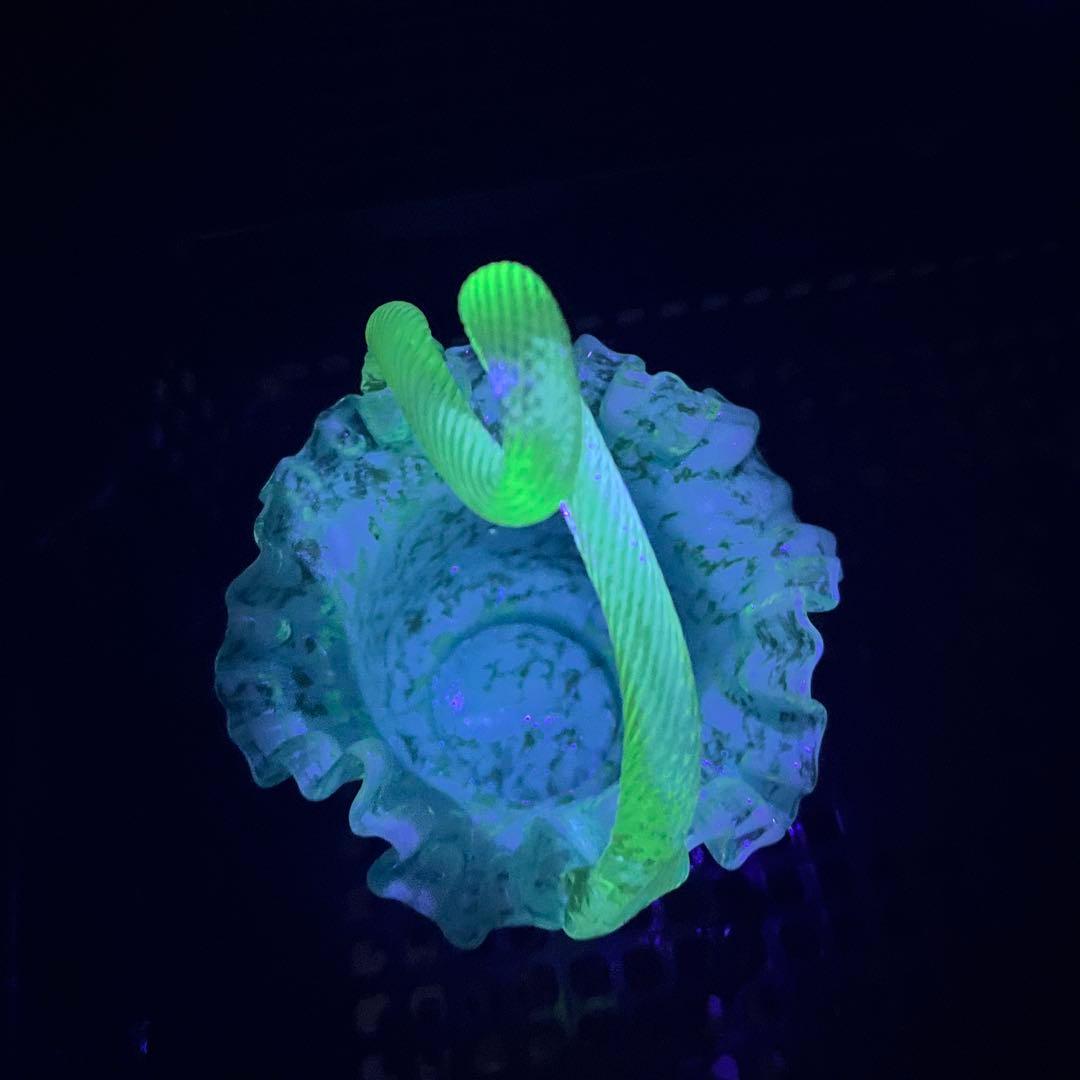 ✴︎ご成約品✴︎リピーター様　イベント割引　おまとめ同梱包２点