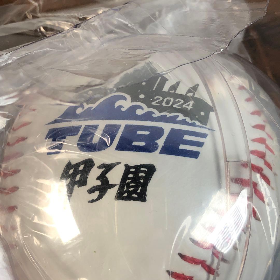 未開封 TUBE 甲子園100周年記念 ボール 甲子園 2024